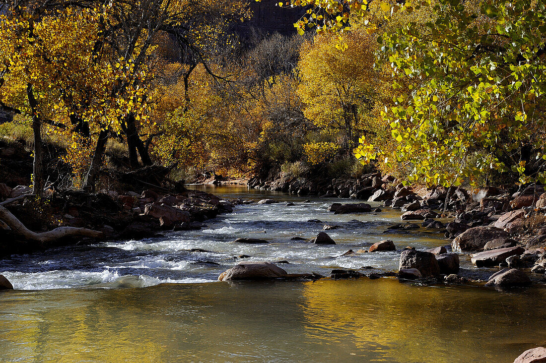 VIRGIN RIVER, ZION NATIONAL PARK, UTAH, USA