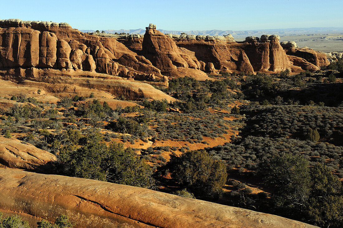 VERTICAL CRAKS IN SANDSTONE WALL WITH LITTLE OASIS INSIDE, ARCHES NATIONAL PARK, UTAH, USA