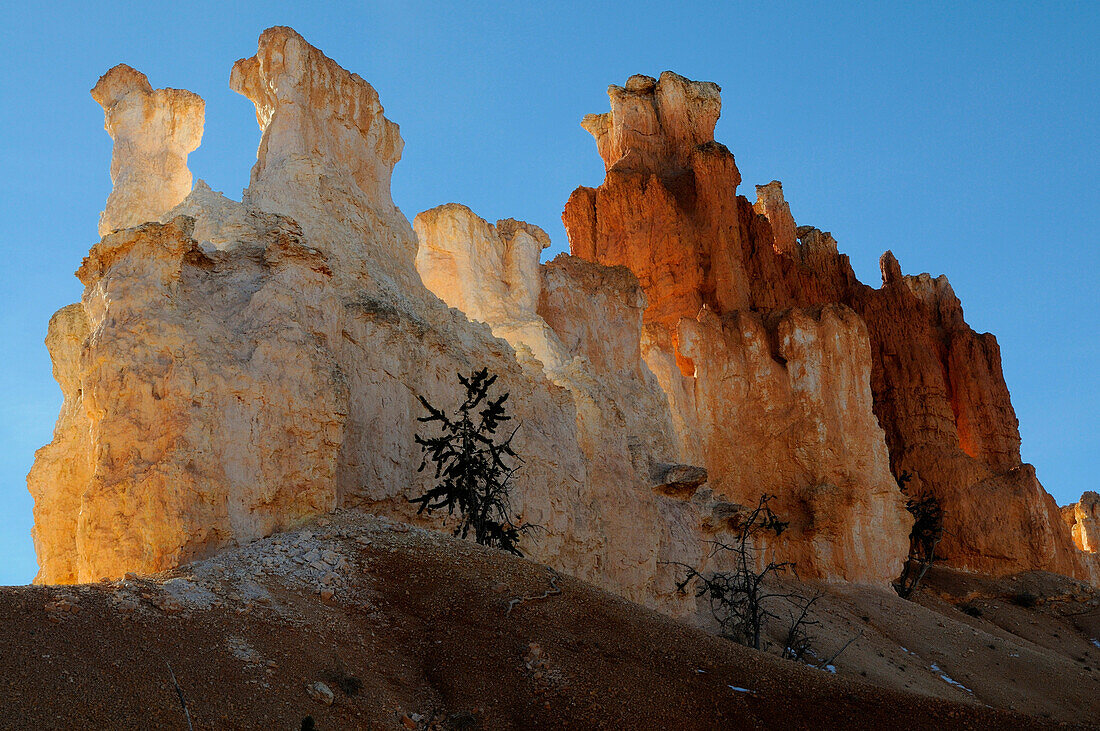 HOODOOS SEEN FROM THE BASE, SANDSTONE FORMATIONS, BRYCE CANYON NATIONAL PARK, UTAH, USA