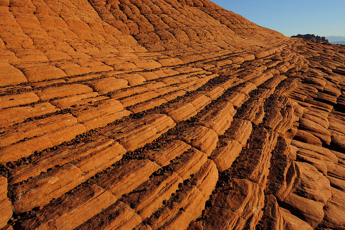 PETRIFIED DUNES, SNOW CANYON STATE PARK, UTAH, USA