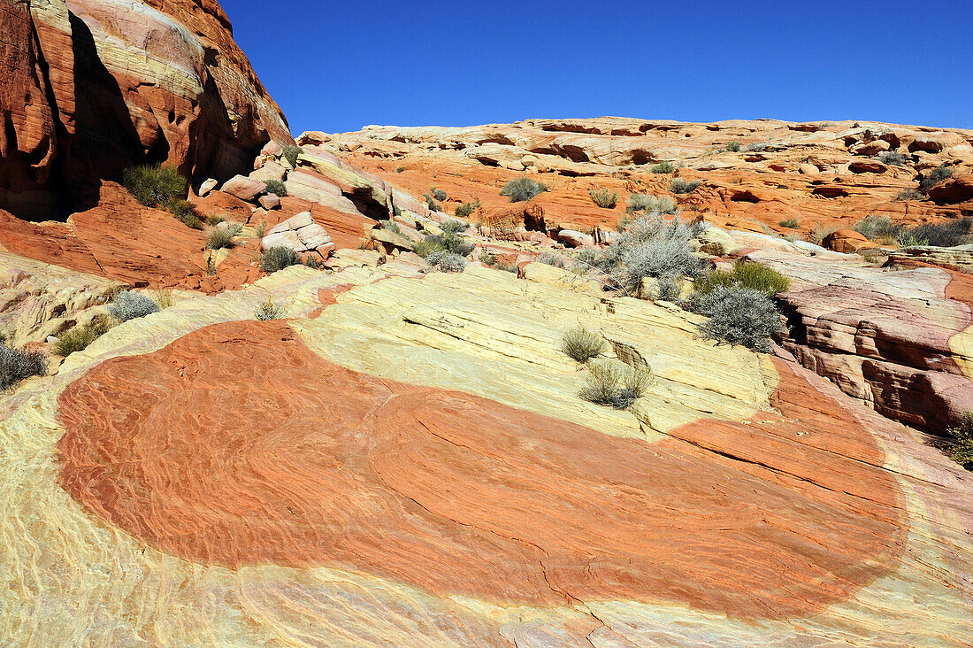 COLORFUL ROCKS, VALLEY OF FIRE STATE PARK, NEVADA, USA