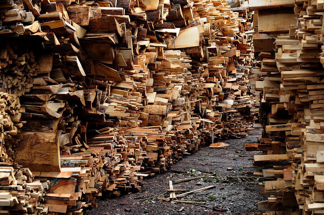 France, Burgundy, Leuglay (21 ), wood planks after the rain