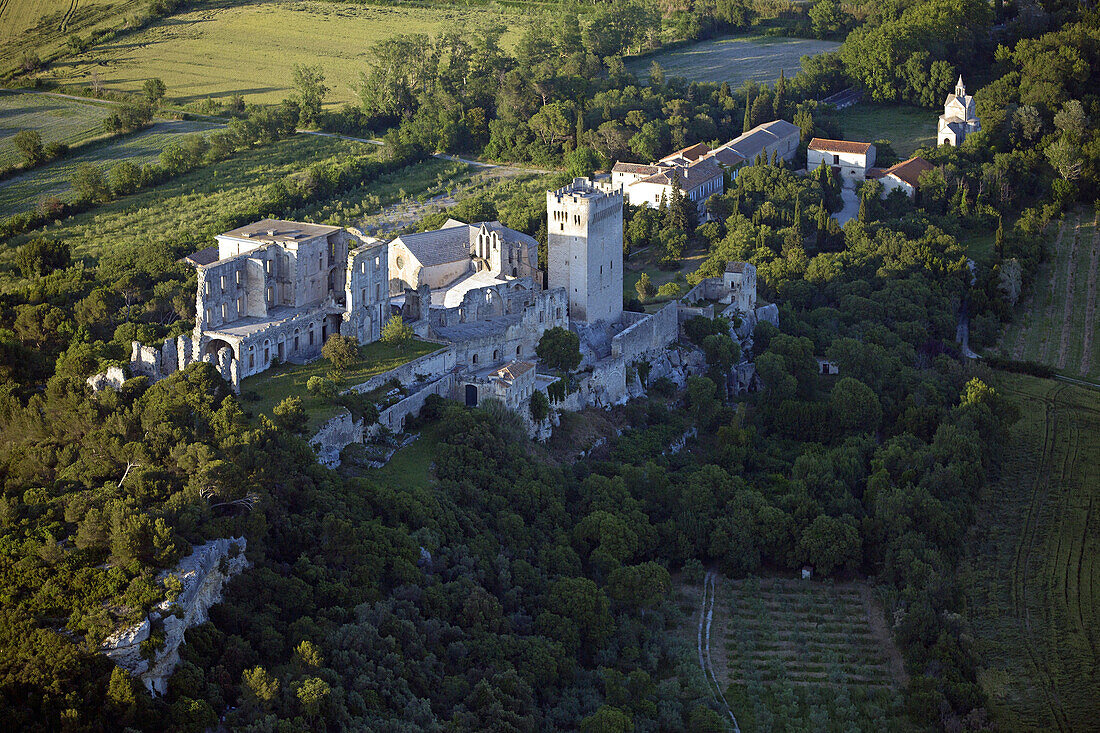 France, Bouches-du-Rhône (13), St. Peter's Abbey is a Benedictine abbey Montmajour, it is classified historical monuments, it is located to Arles (aerial photo)