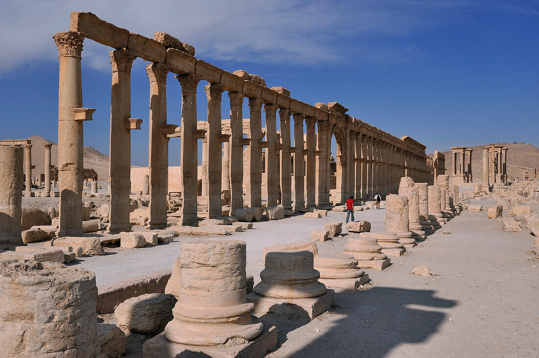 Syria, archaeological site of Palmyra, October, November 2010. Former Roman city