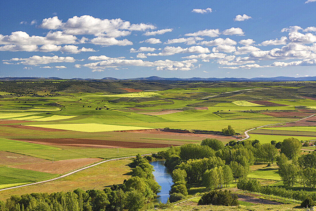 Spain, Castilla Leon Community, Soria Province Landscape