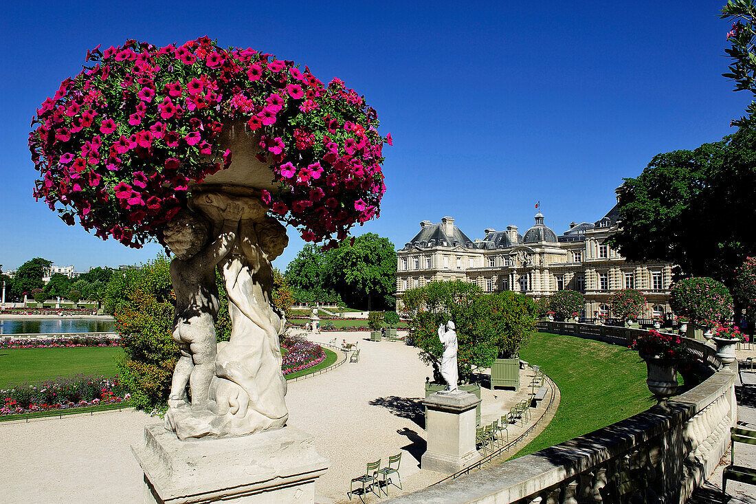 France, Paris, 6th district, Palace of the Luxembourg, Senate