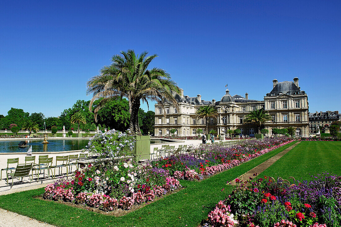 France, Paris, 6th district, Palace of the Luxembourg, Senate