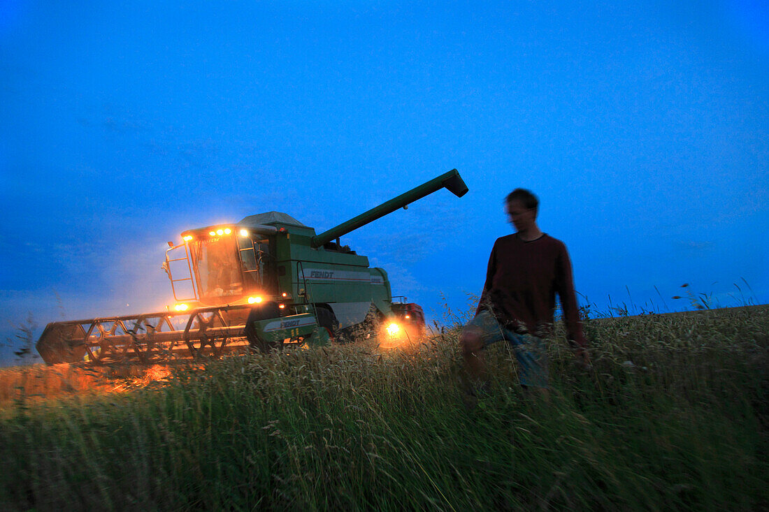 France, Pas de Calais, combine harvester in a corn field.