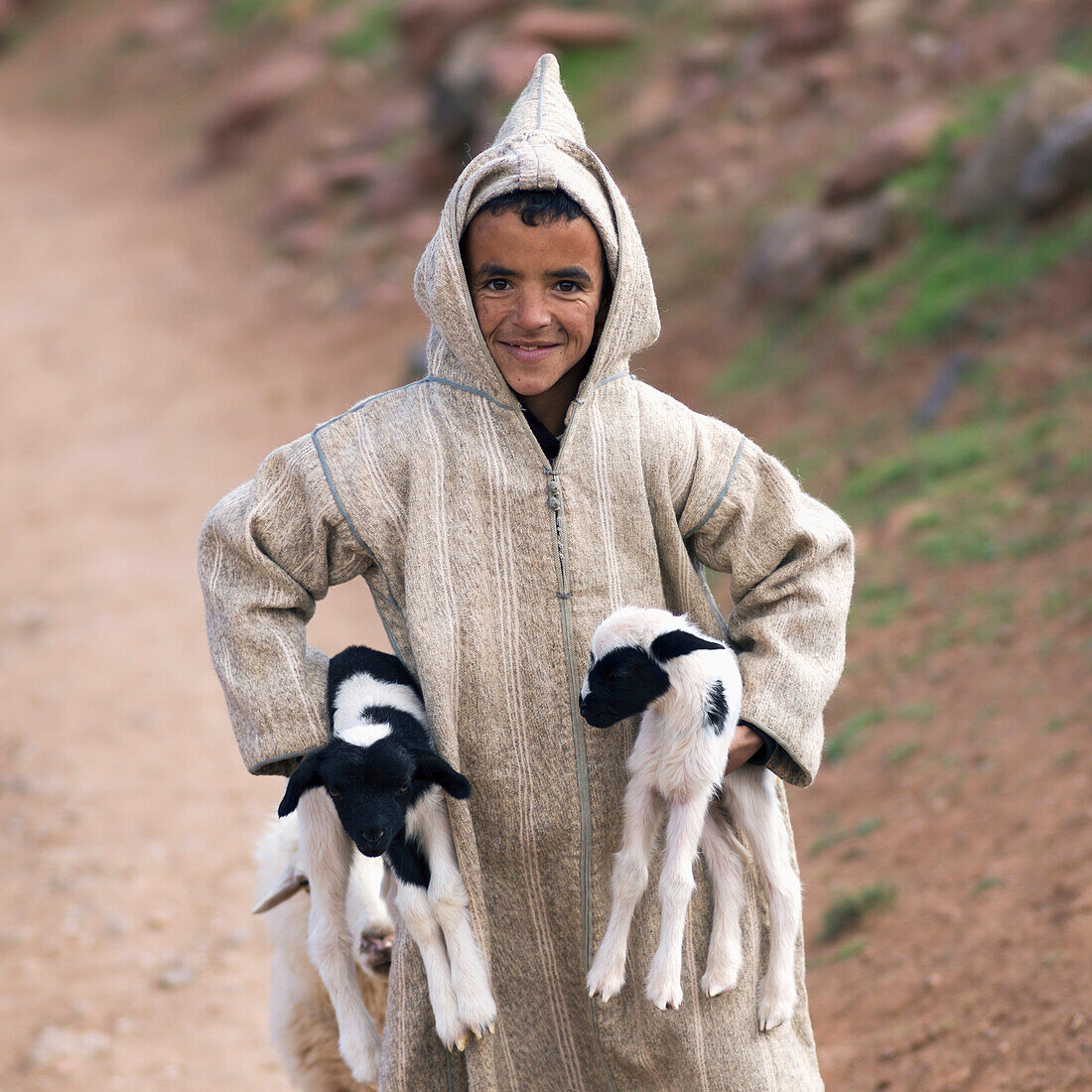 'A Young Shepherd Boy Holding Two Lambs; Morocco'