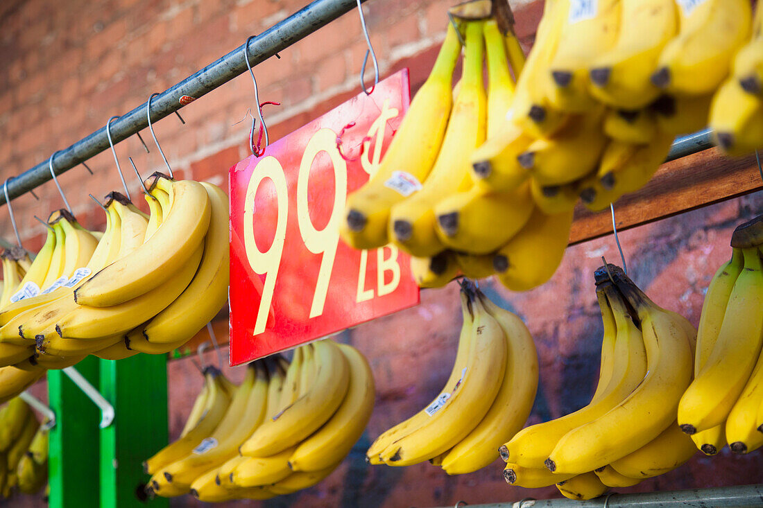 'Bananas hanging in a display rack for sale; Oahu, Hawaii, United States of America'