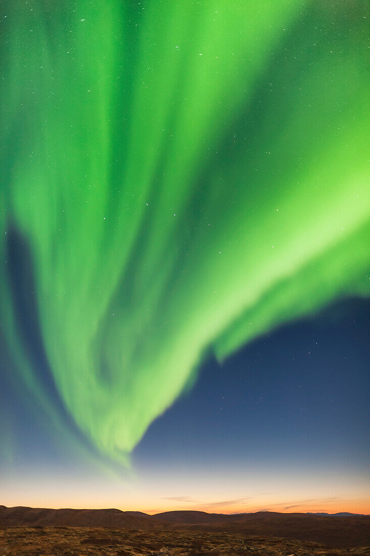 Northern Lights Above Eagle Summit Along The Steese Highway North Of Fairbanks, Full Moon, Pinnell Mountain Range, Fall, Interior Alaska, Usa.