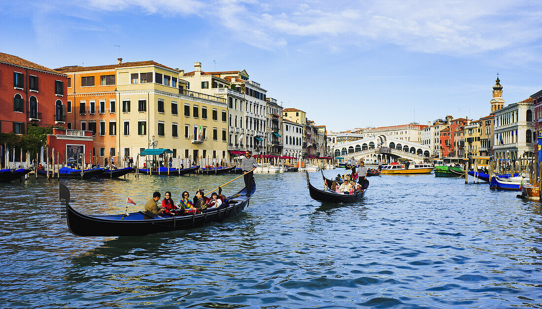 'Grand Canal And Rialto Bridge; Venice, Italy'