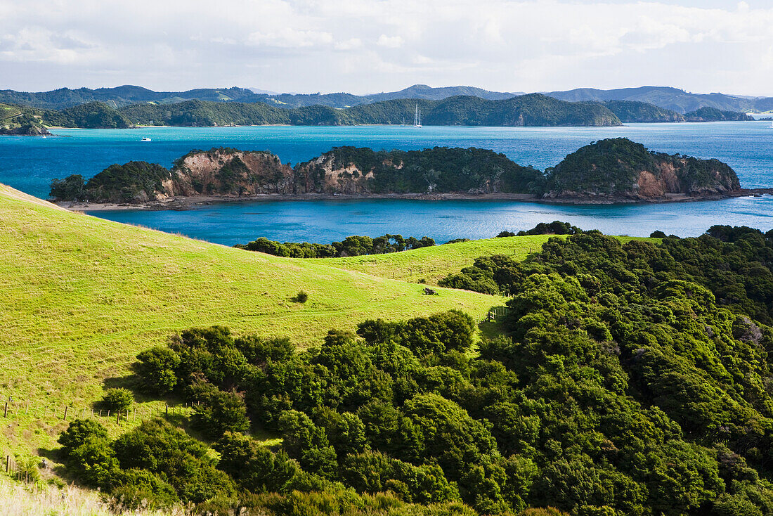 'Coastline Of Urupukapuka Island, The Largest Of All The Islands In The Bay Of Islands; New Zealand'