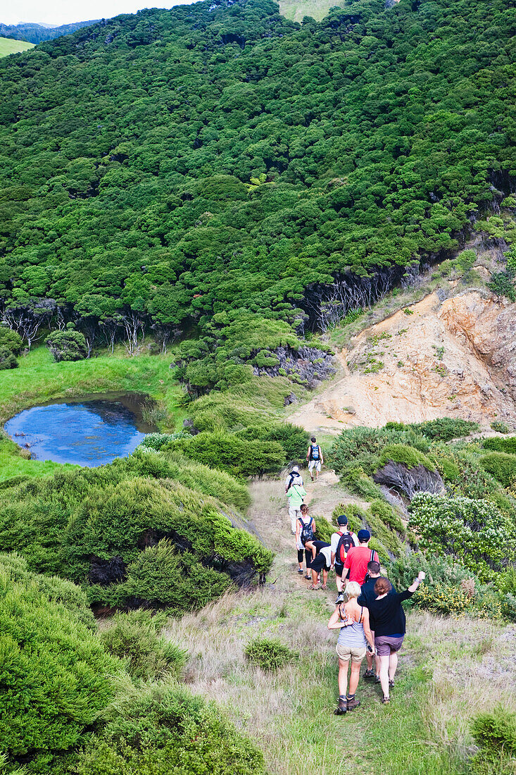'A Group Of Tourists Walking In A Row Down A Trail On Urupukapuka Island; New Zealand'