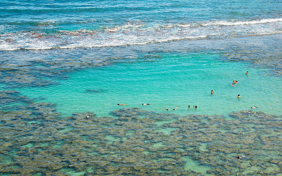 'Tourists snorkeling at Hanauma Bay; Oahu, Hawaii, United States of America'