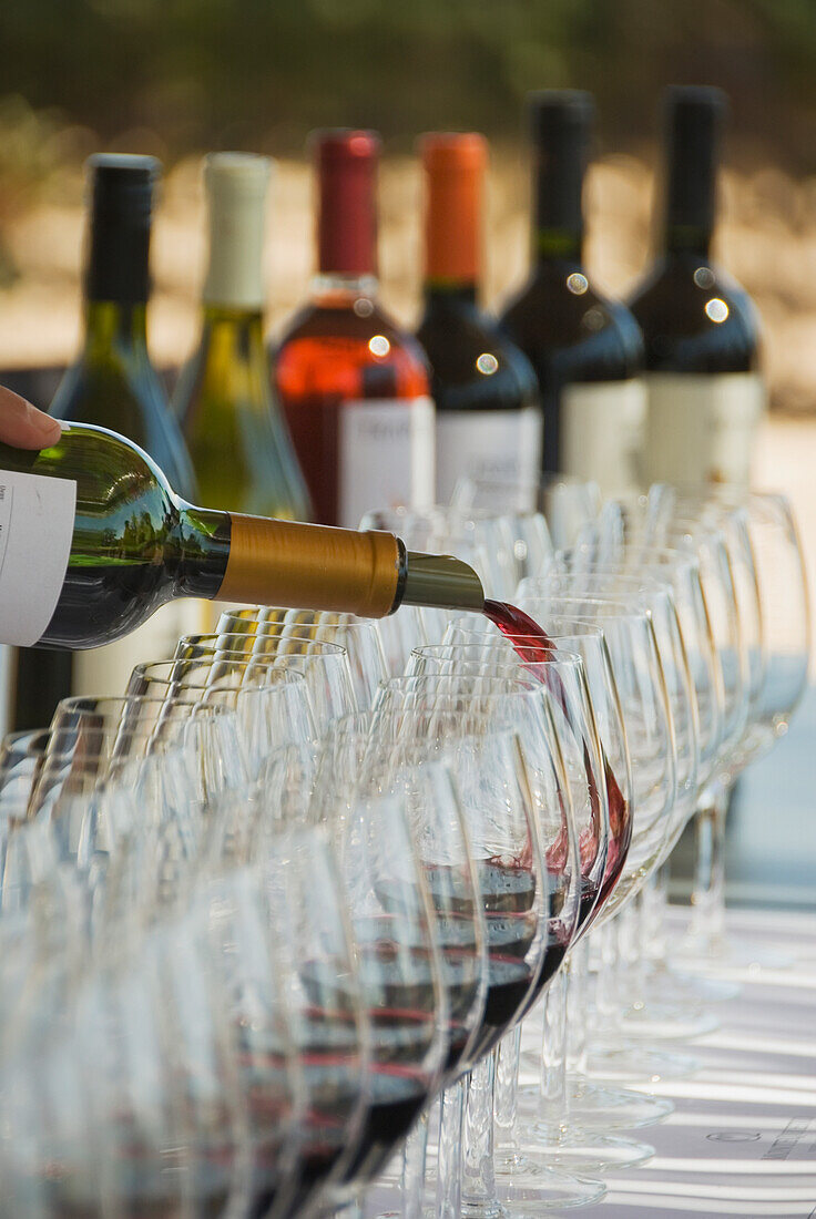 'Wine Glasses And Bottles At An Outdoor Wine Tasting; Mendoza, Argentina'