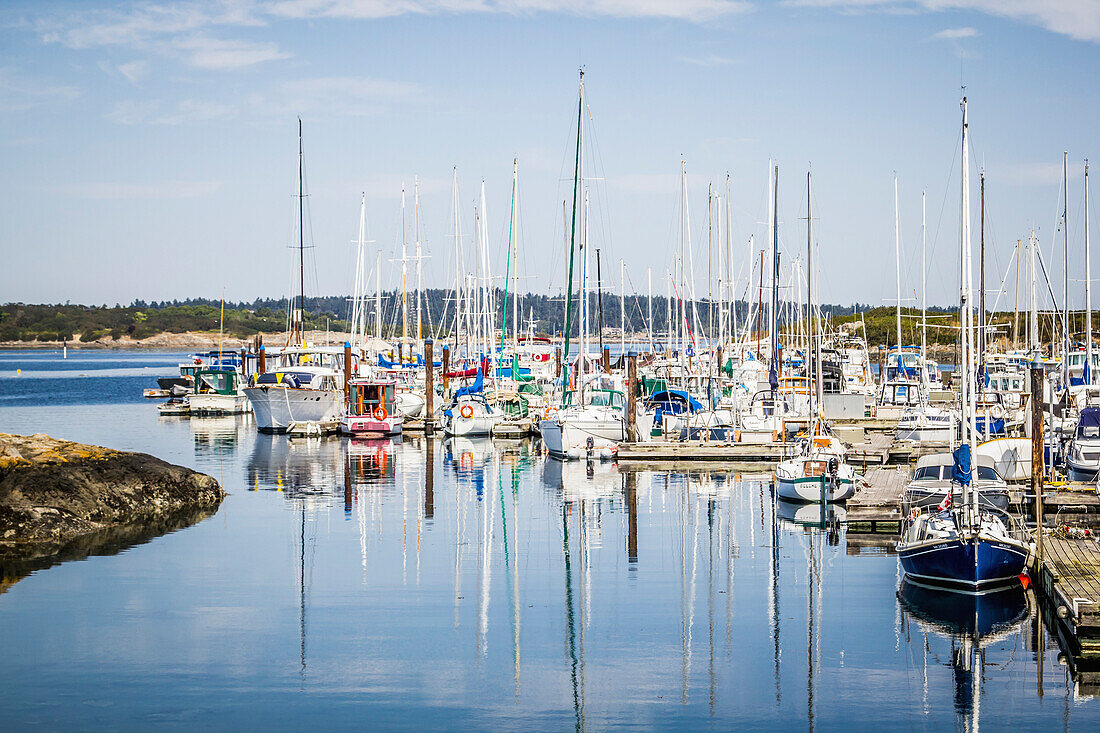 'A recreation marina filled with yachts and sailboats; Victoria, British Columbia, Canada'