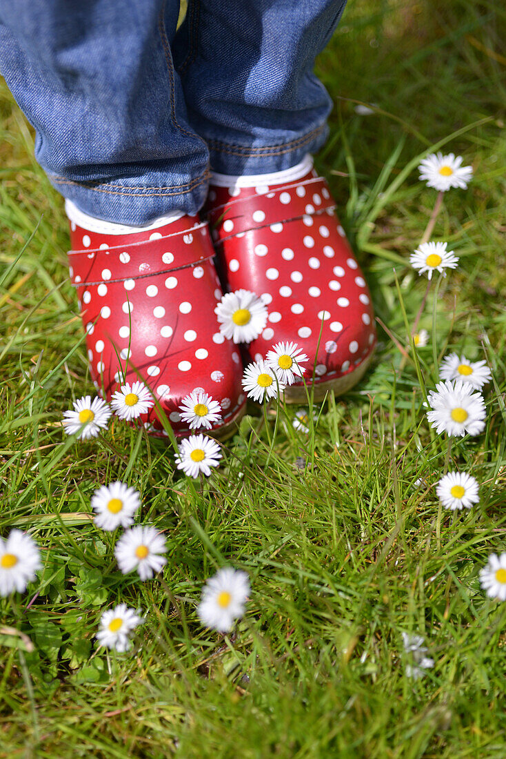 A little girl's red and white polka dot clogs and small daisies, france