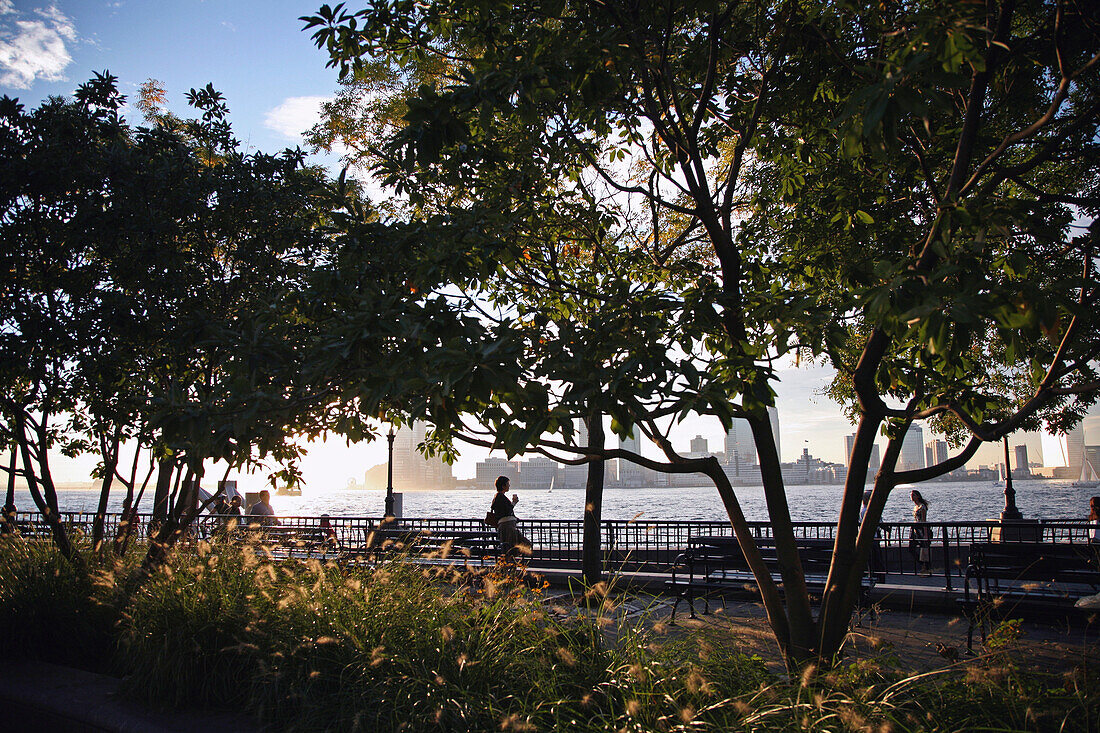 Sunny Afternoon in Battery Park, New York City, USA