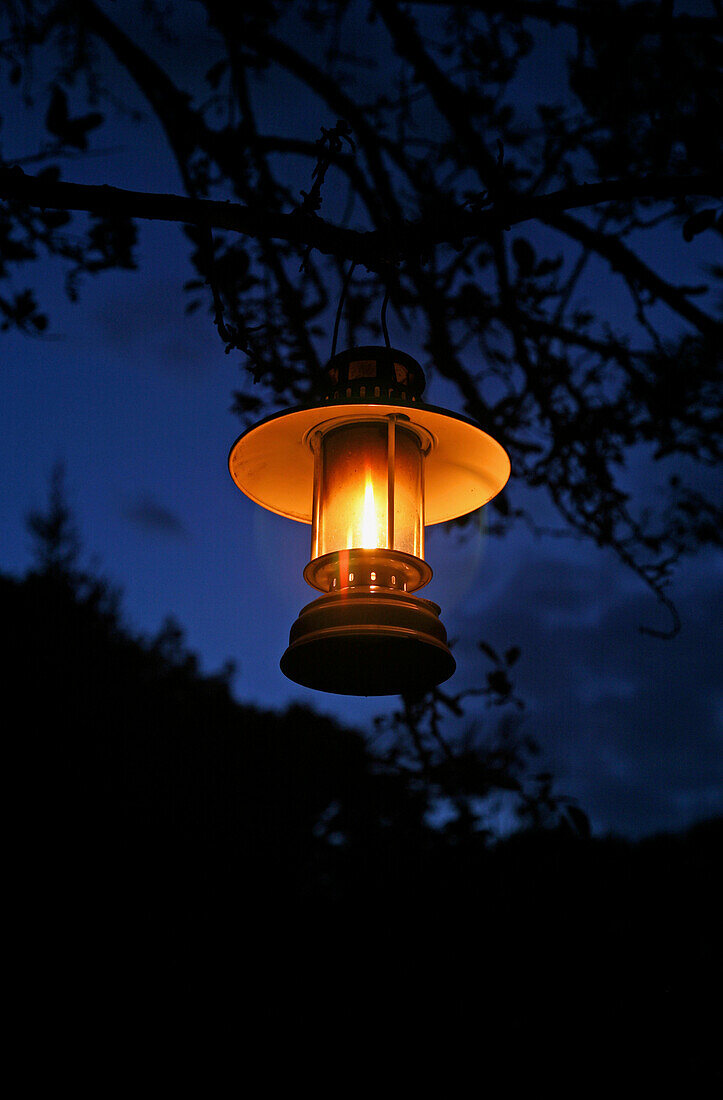 Hanging Lantern in Garden at Night