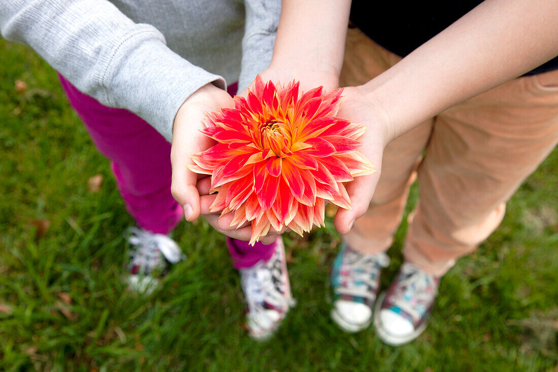 Flower and Sneakers