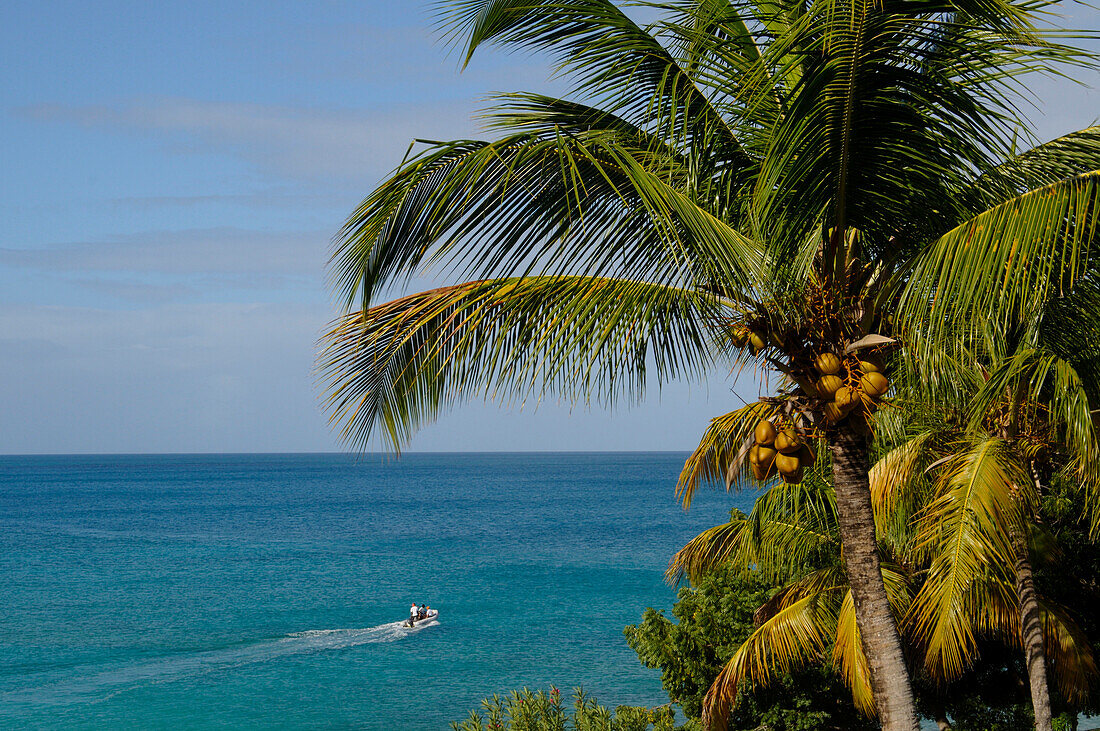 Hawksbill Beach, Hawksbill Hotel, Antigua, Leeward Islands, West Indies, Caribbean, Central America