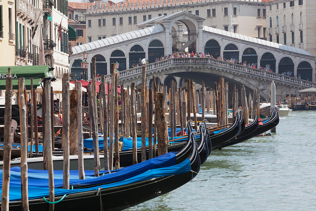 Moored gondolas and the Rialto Bridge from the Grand Canal, Venice, UNESCO World Heritage Site, Veneto, Italy, Europe