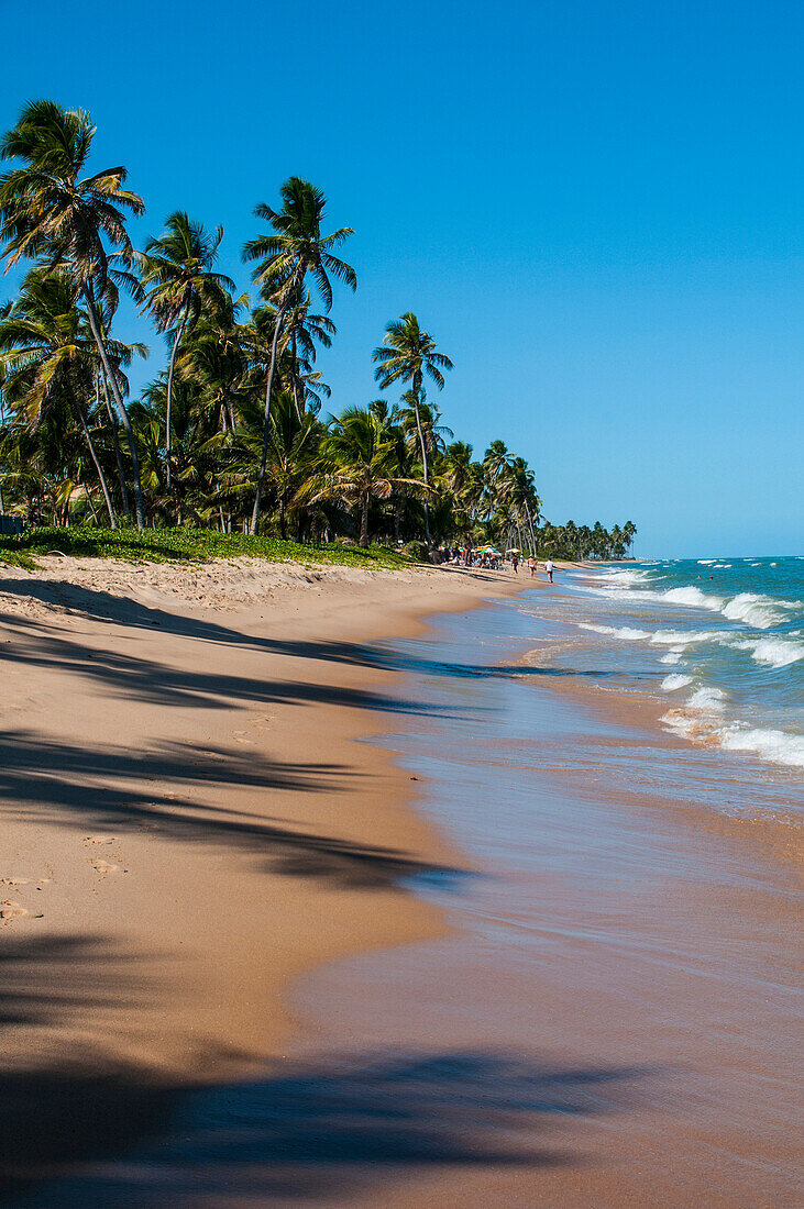 Tropical beach in Praia do Forte, Bahia, Brazil, South America