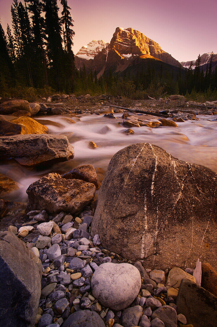 A Mountain Stream