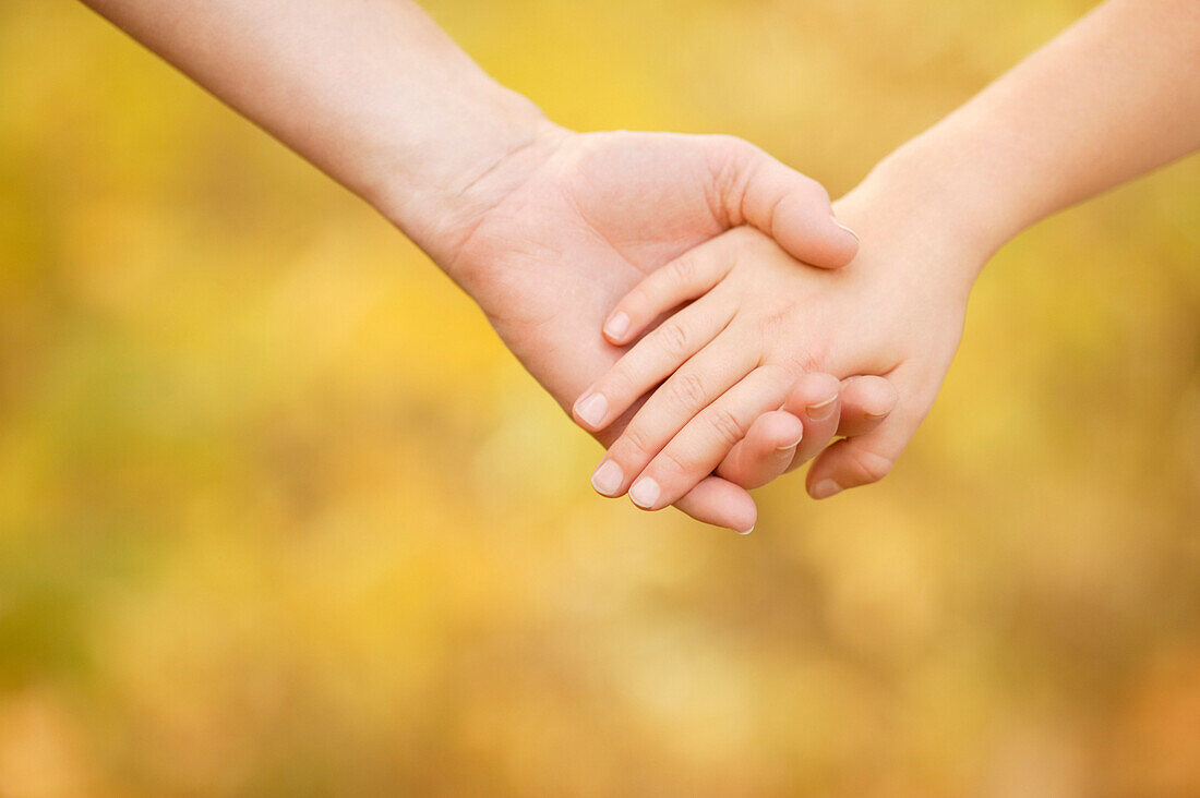 Children Holding Hands