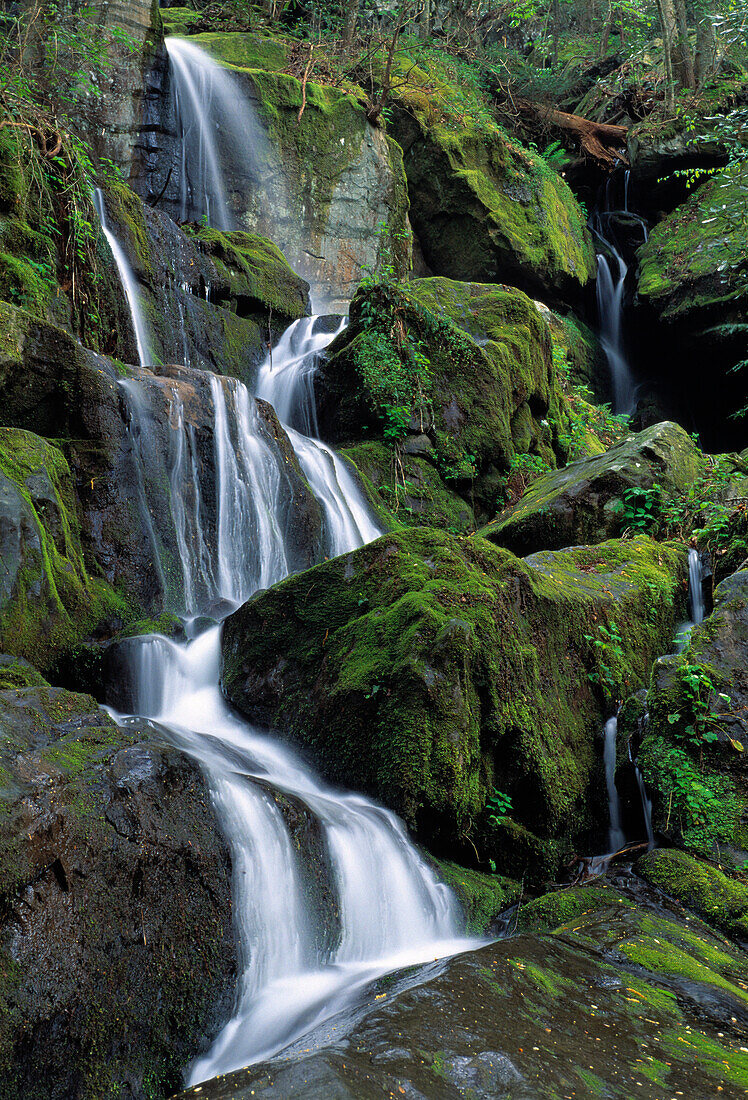 Thousand Drips Waterfall, Roaring Fork Area, Great Smoky Mountains National Park, Tennessee, Usa