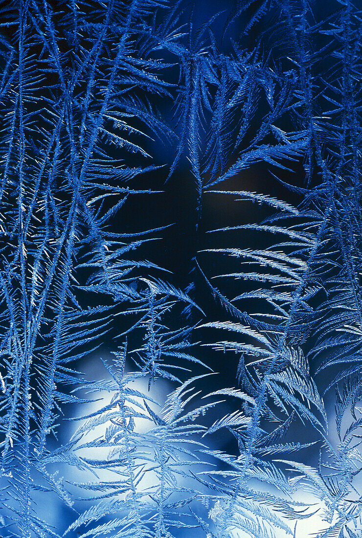 Frost Pattern On Window