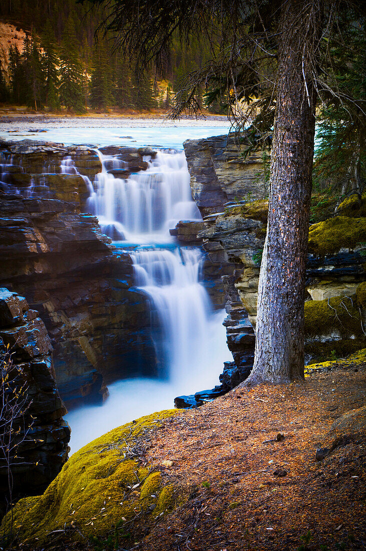Athabasca Falls Early Morning Waterfall, Jasper National Park, Alberta, Canada