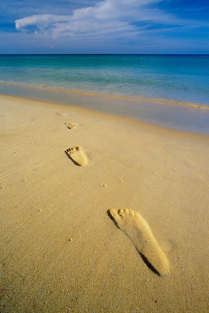 Footprints In Sand In Phuket, Thailand