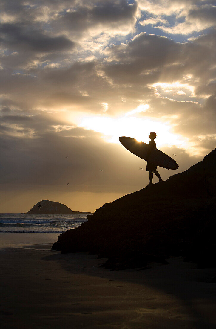 A Surfer On Muriwai Beach New Zealand