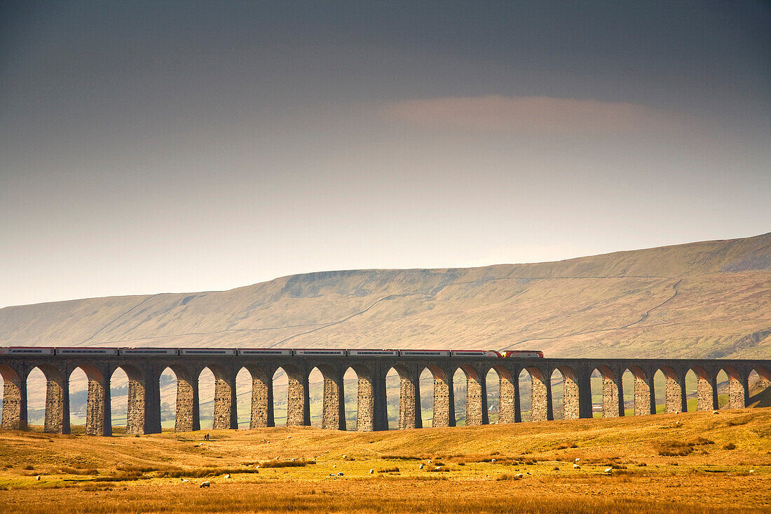 Train And Bridge, Yorkshire Dales, England