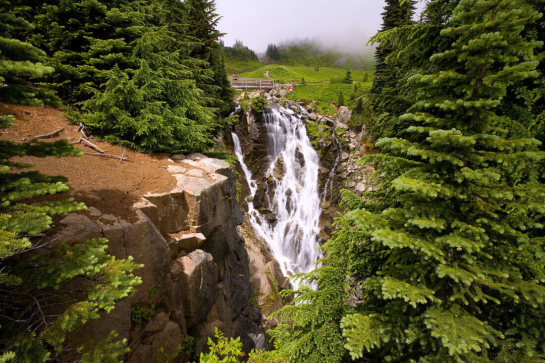 Edit Creek Gorge, Mount Rainier National Park, Washington, United States Of America