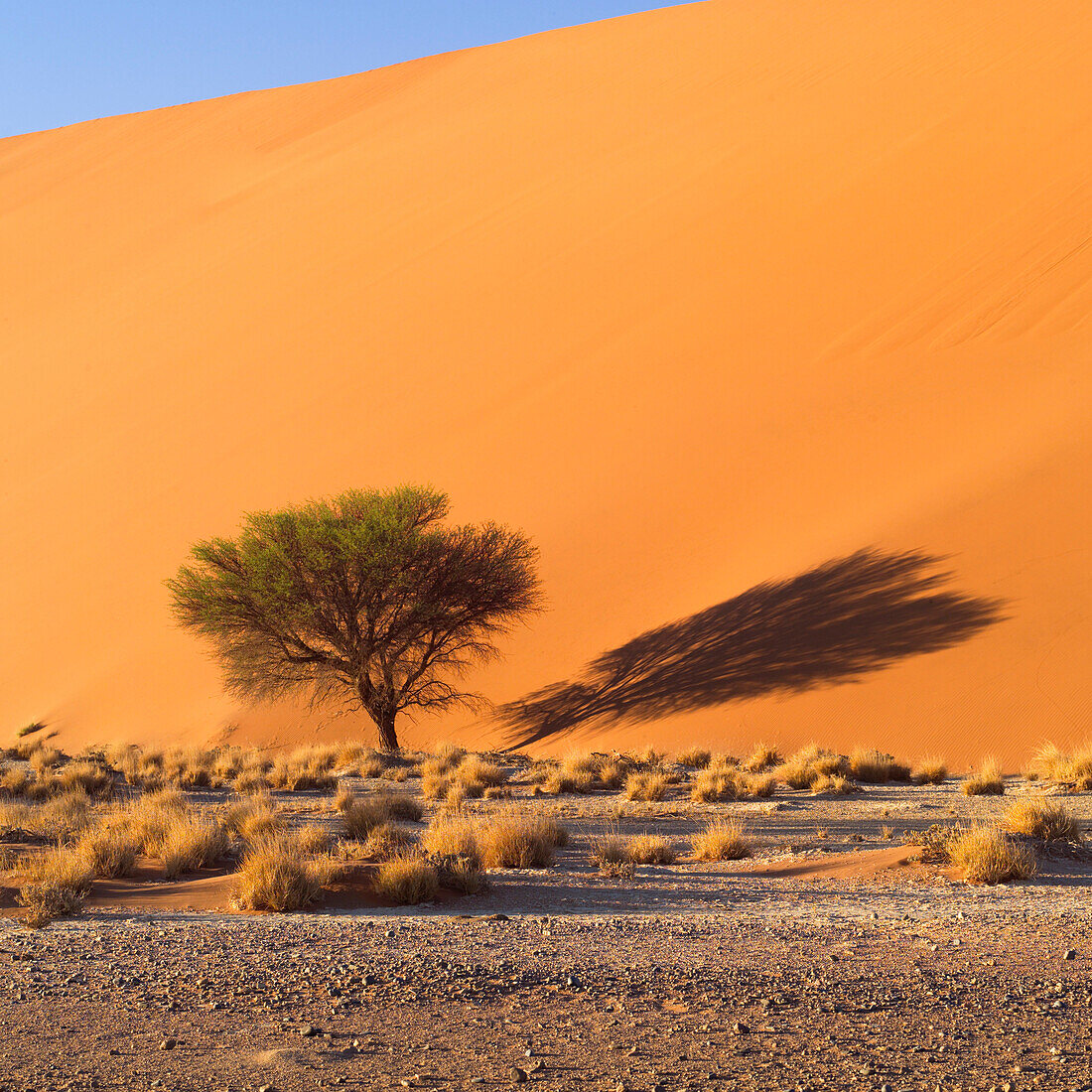 Sand Dune, Namibia, Africa