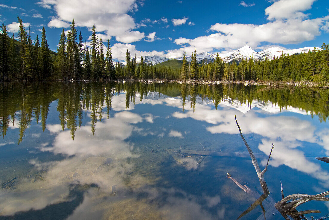 Reflection In Water, Kananaskis, Alberta
