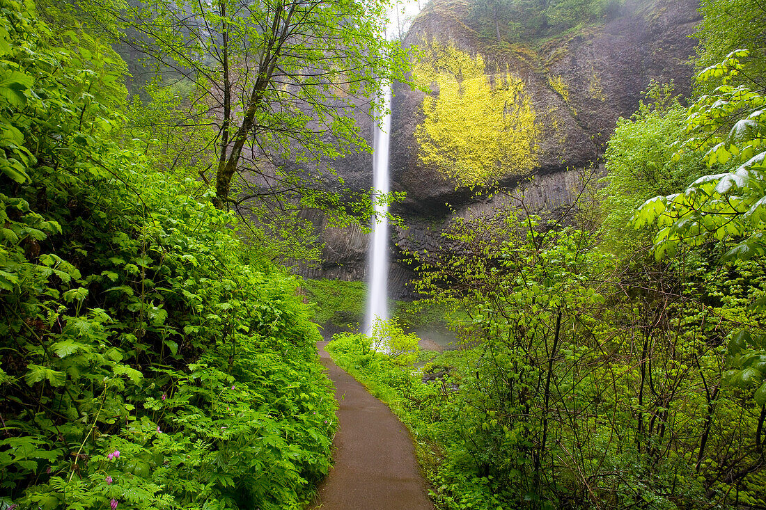 Latourell Falls, Columbia River Gorge, Oregon, Usa