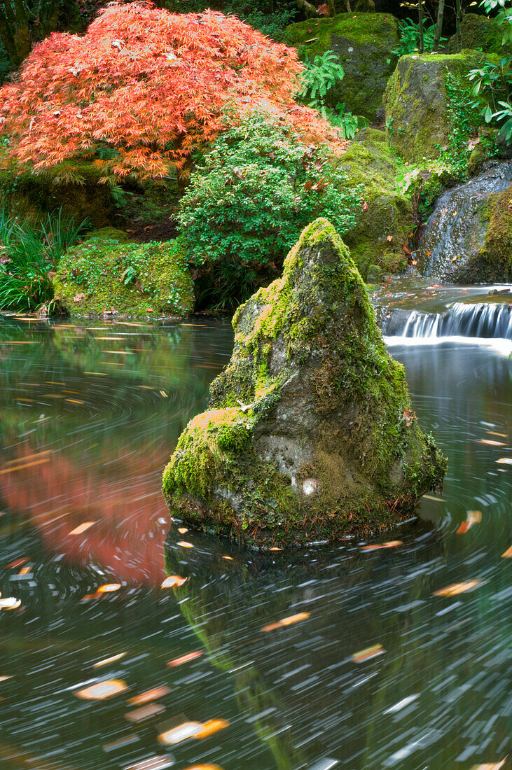 Garden, Oregon, United States Of America