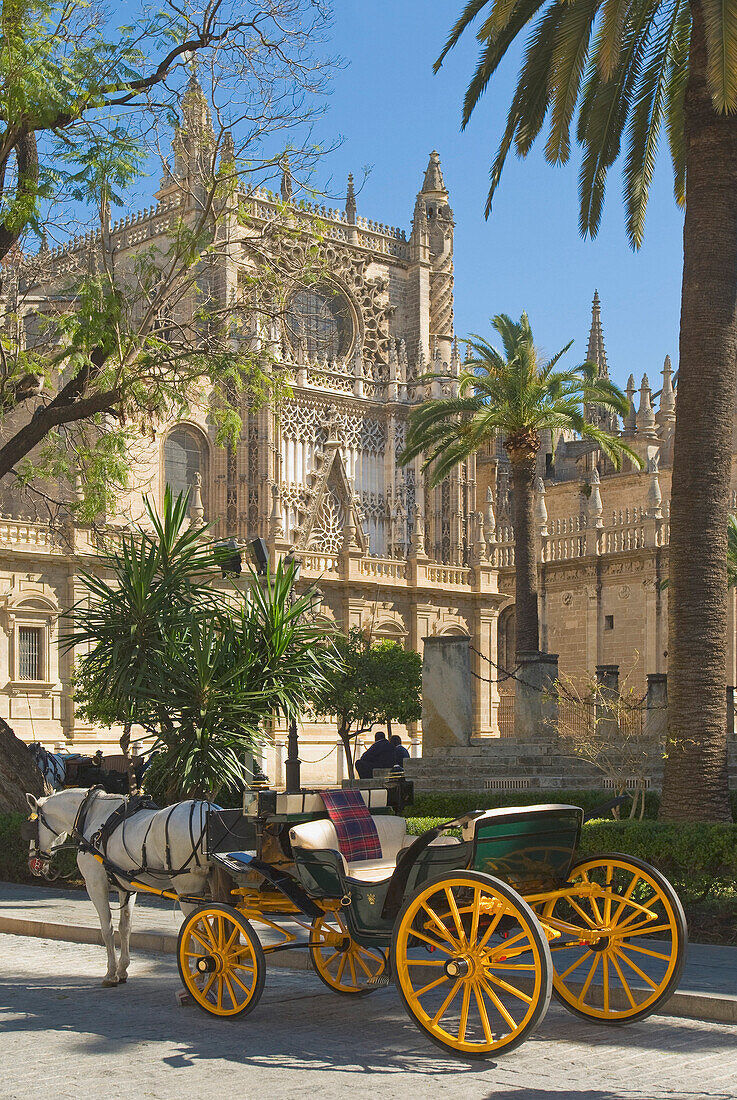 Horse And Buggy At Seville Cathedral, Seville, Andalucia, Spain, Europe