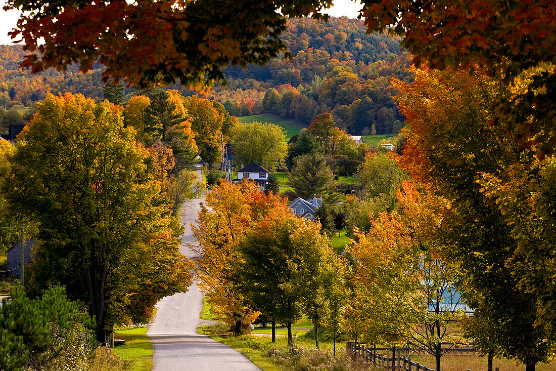 Rural Road, Quebec, Canada