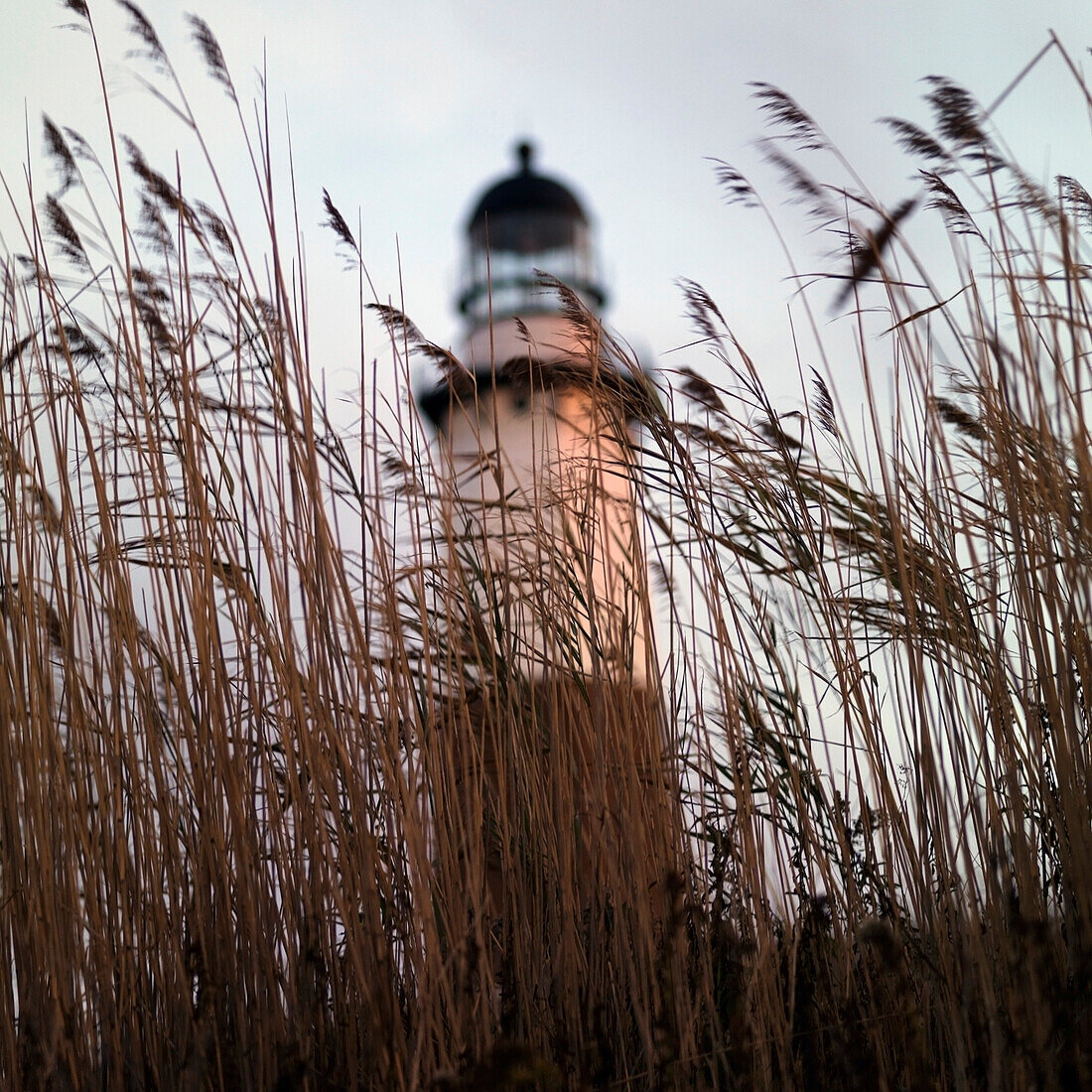 Sag Harbor, New York, Usa