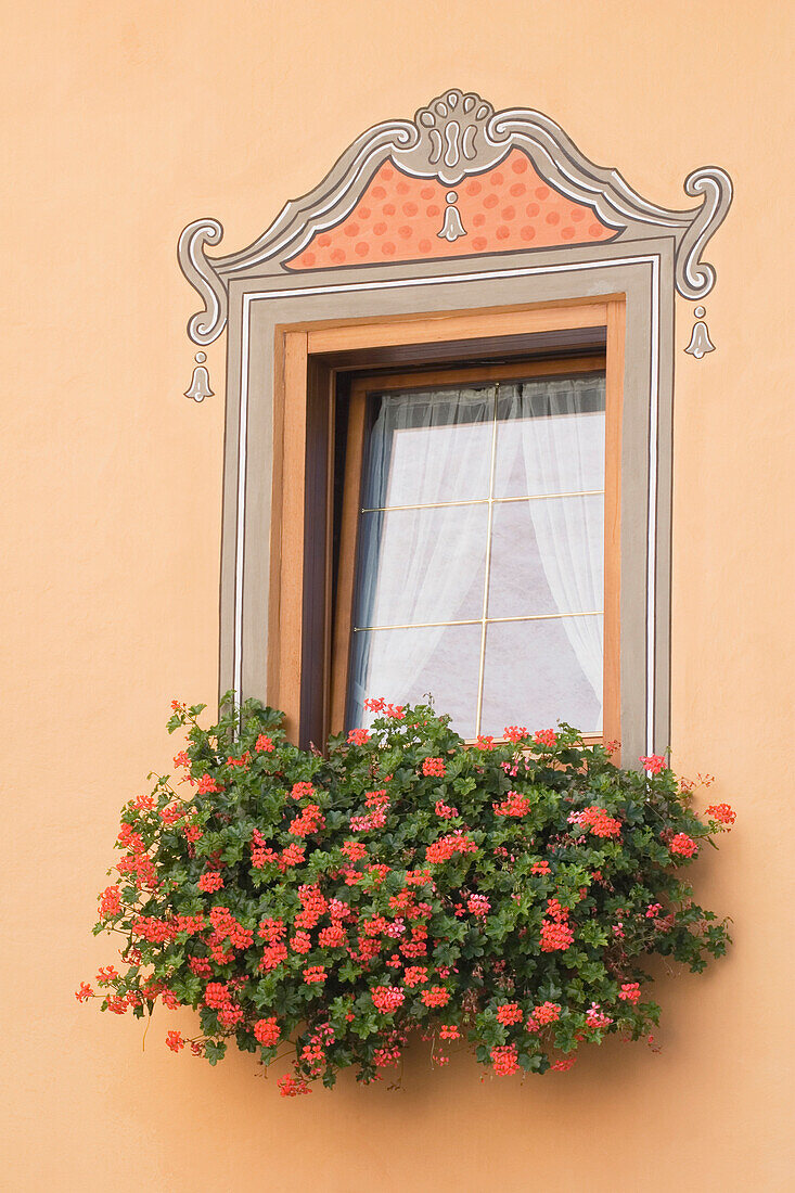 Decorative Window With A Flower Box, Castelrotto, Alto Adige, Italy