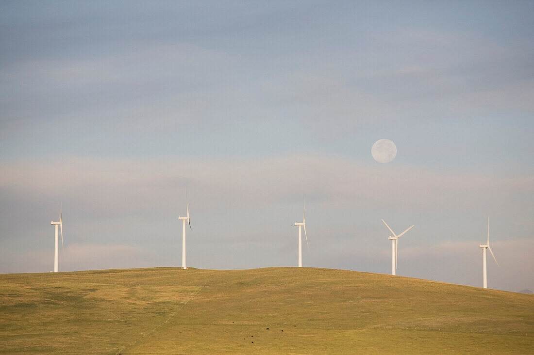 'Pincher Creek, Alberta, Canada; Wind Turbines On A Hillside With The Moon In The Sky'
