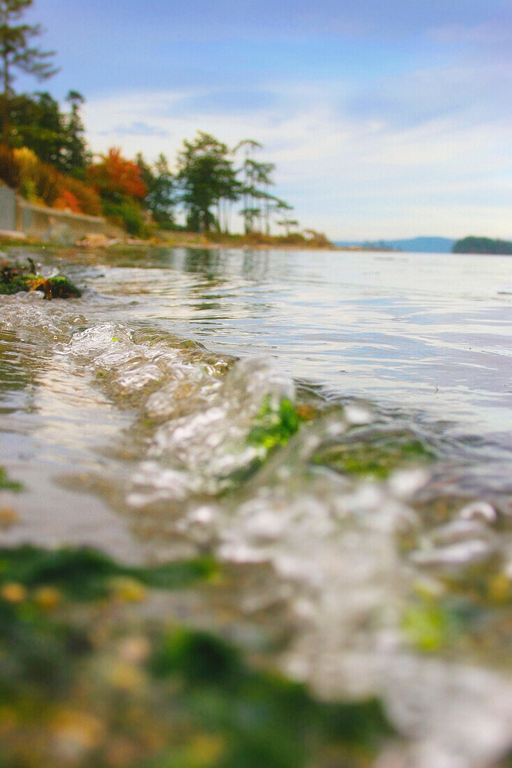 'Victoria, British Columbia, Canada; Water Along The Shoreline'