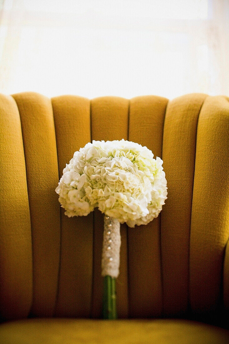 'A Bouquet Of White Flowers; Jordan, Ontario, Canada'