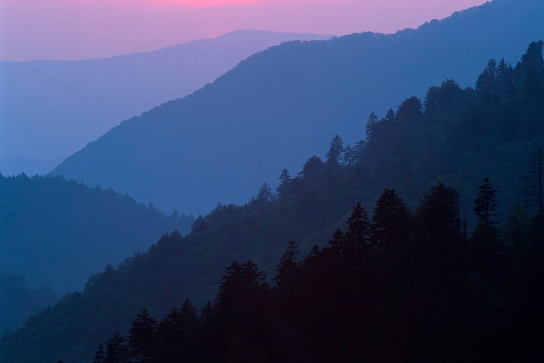 'Tennessee, United States Of America; Sunset Light Filtering Through Misty Mountain Ridges At The Great Smoky Mountains National Park'