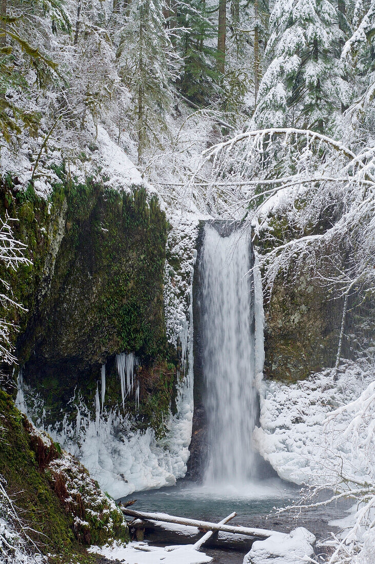 'Oregon, United States Of America; Wiesendanger Falls In Winter In The Columbia River Gorge'